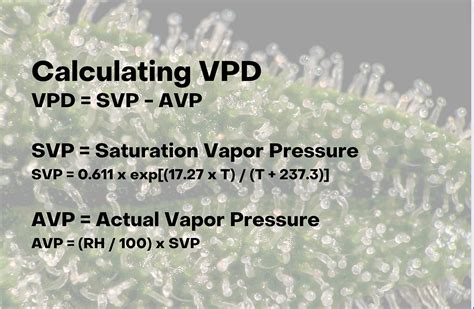 vpd rechner|Vapor Pressure Deficit VPD Calculator